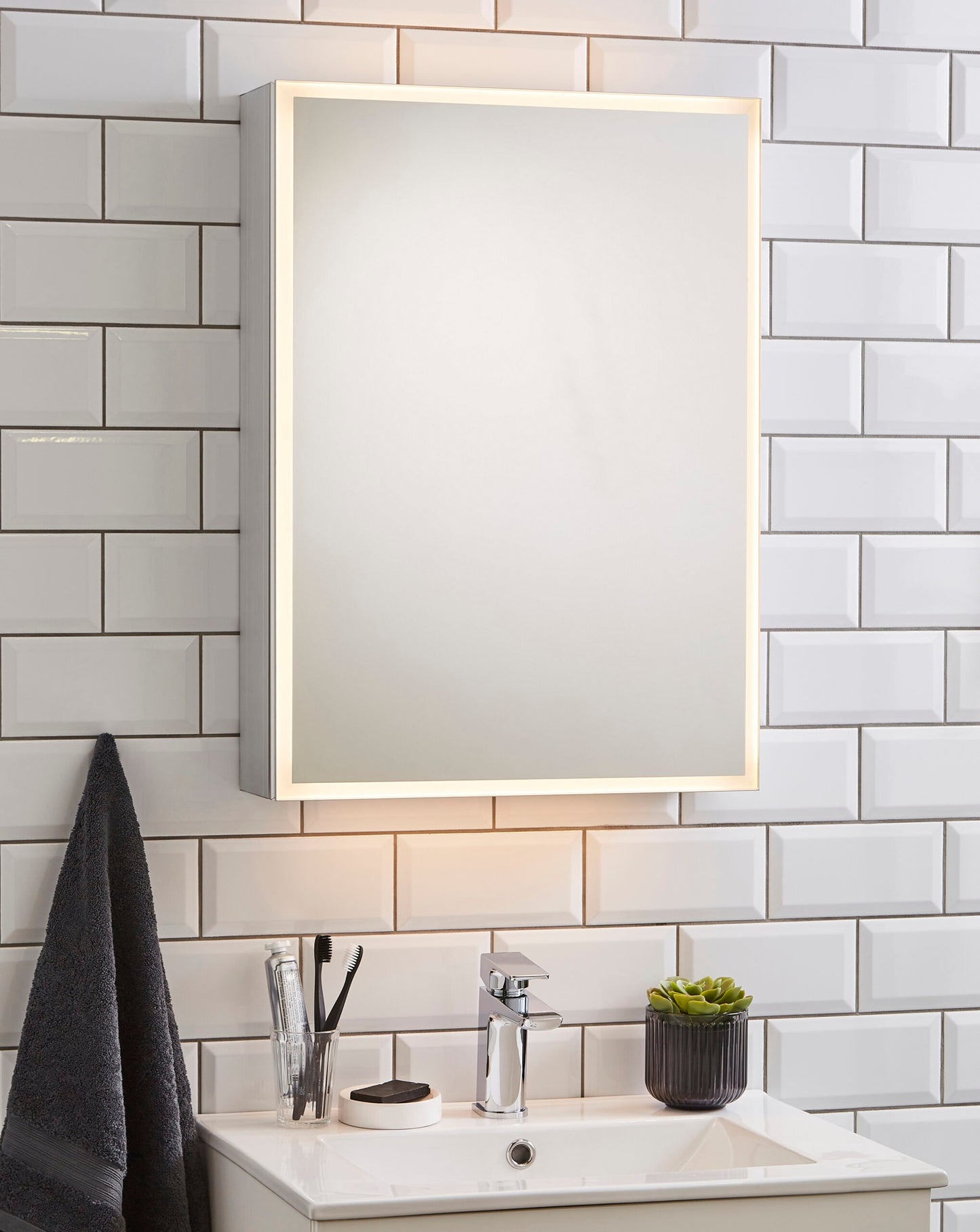 Echo Mirror Cabinet